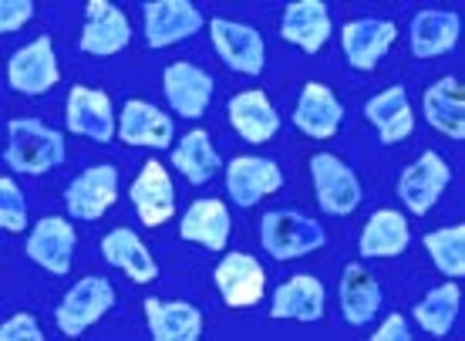 Diamant naturel NAT - MB 16/18 à 60/80 