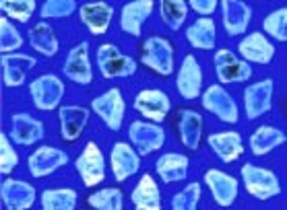 NAT - MB S 16/18 à 60/80