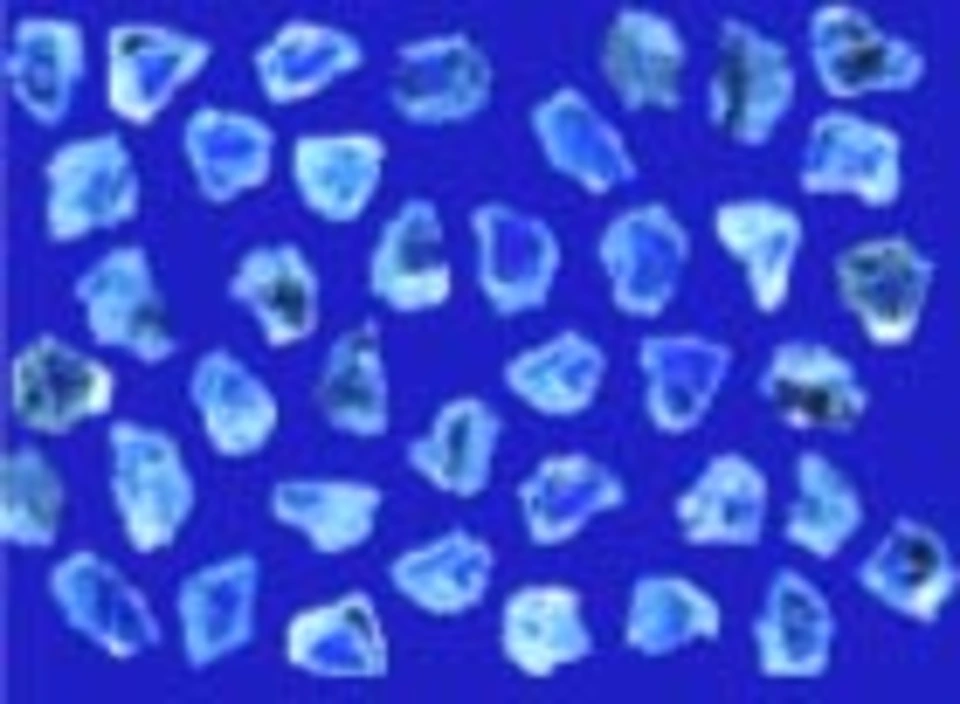 NAT - MB S 70/80 à 400/500