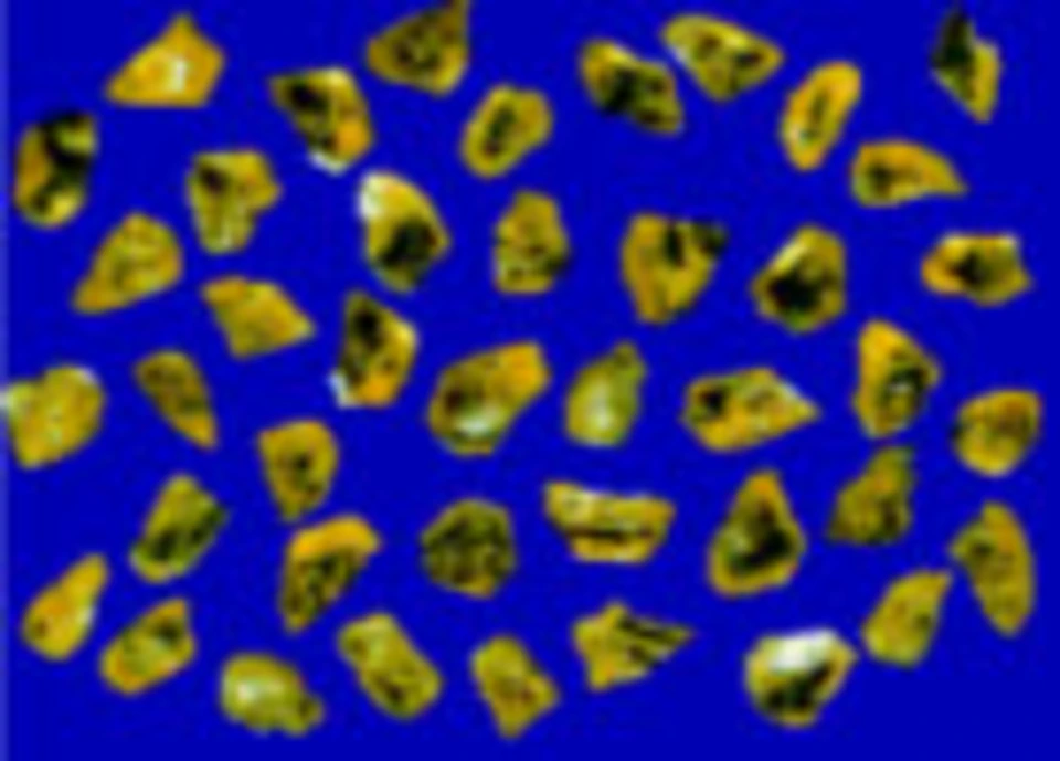 Série liant résinoïde PM (PM 30N, PM 55N, PM 50C) 